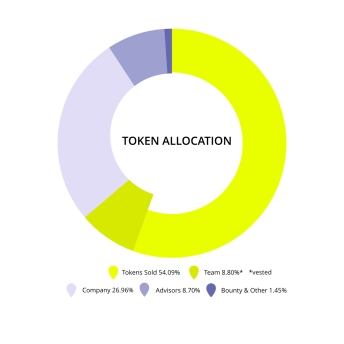 goforit token allocation