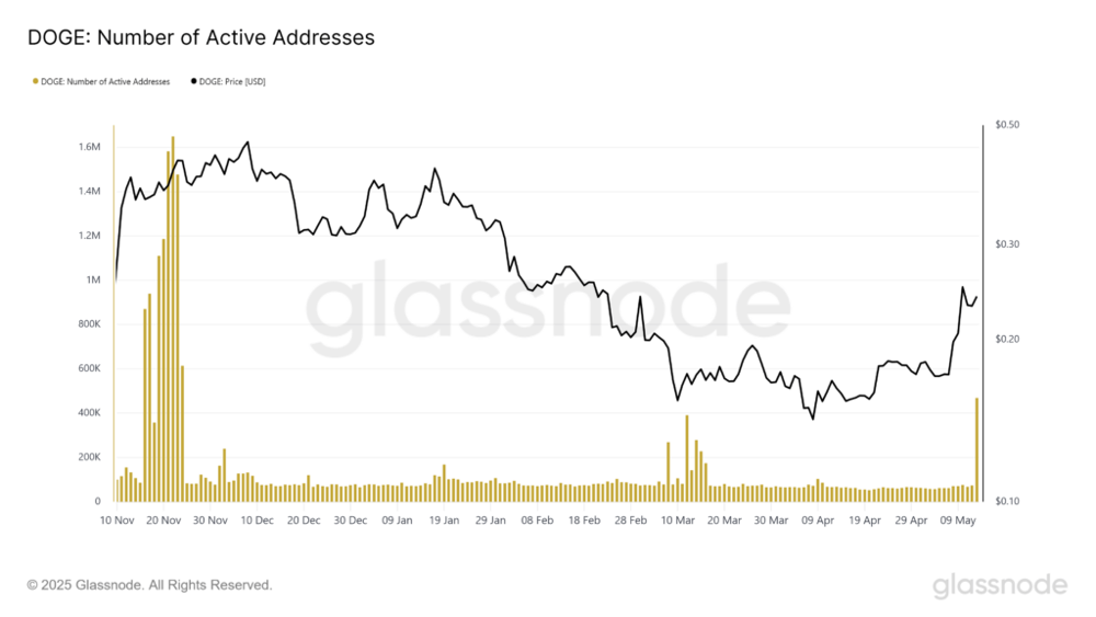 On-Chain Activity of Dogecoin