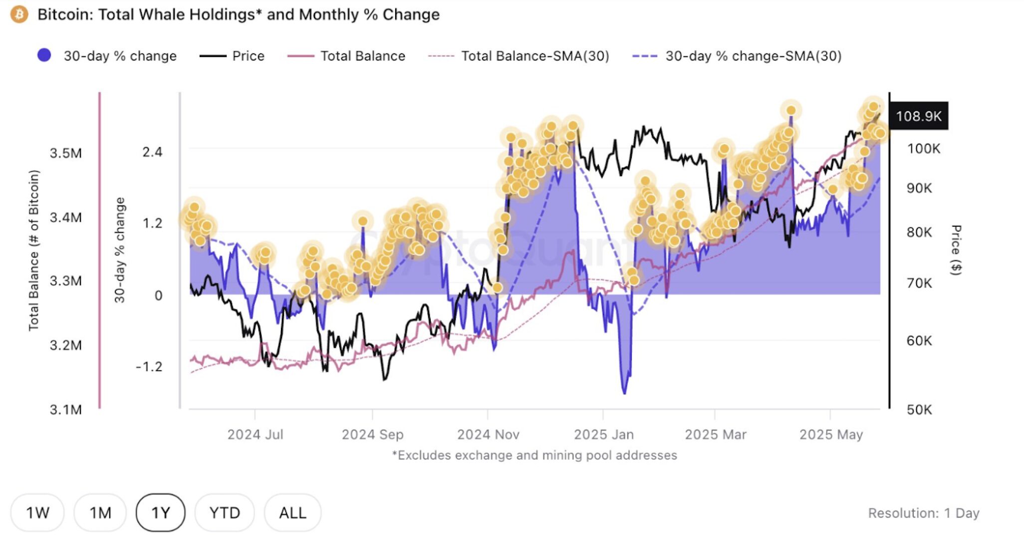 Whale Accumulation Signals Renewed Confidence