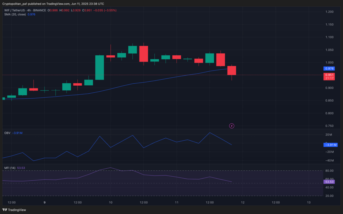 Dogwifhat price analysis 4-hour chart