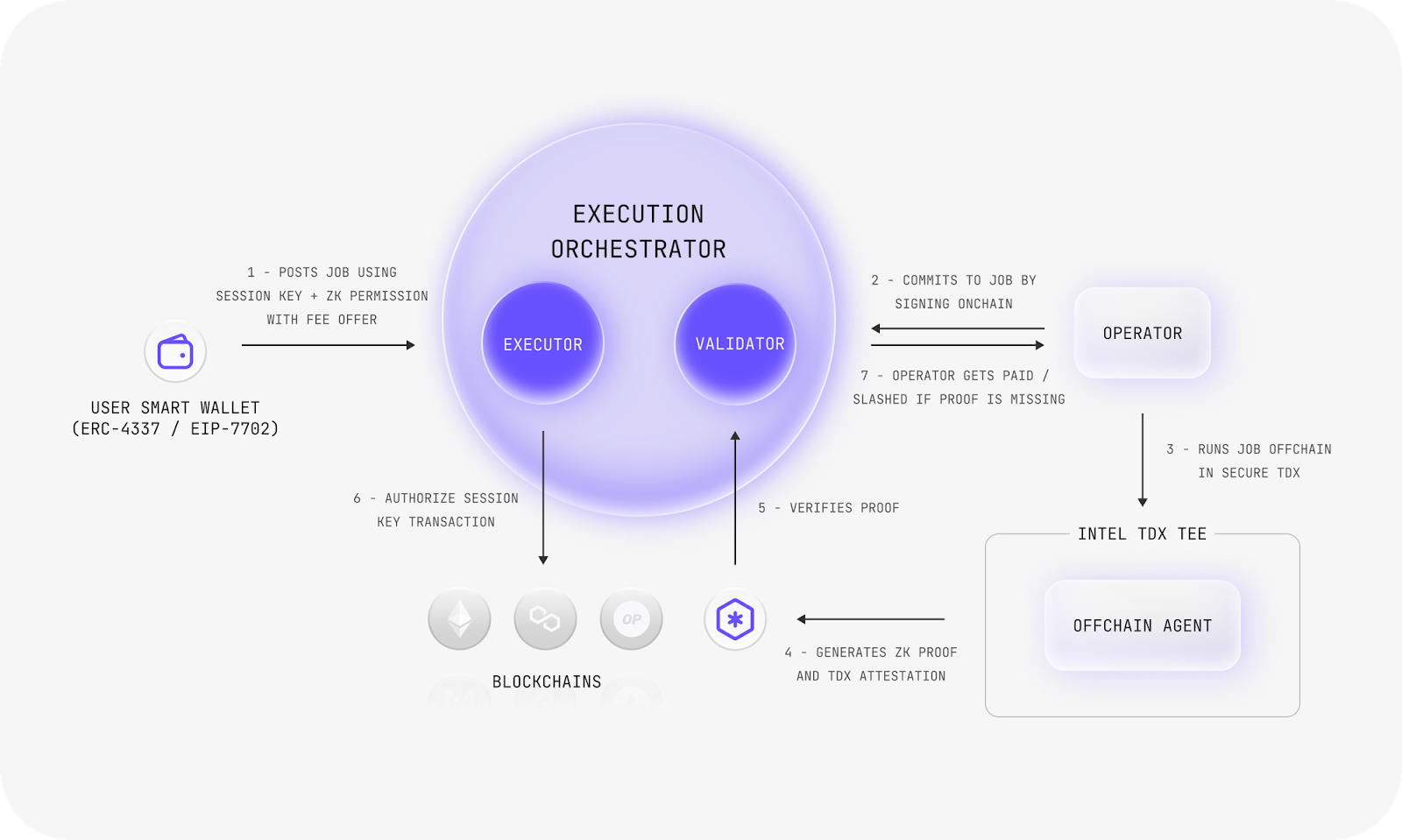 Newton Protocol Execution Orchestrator