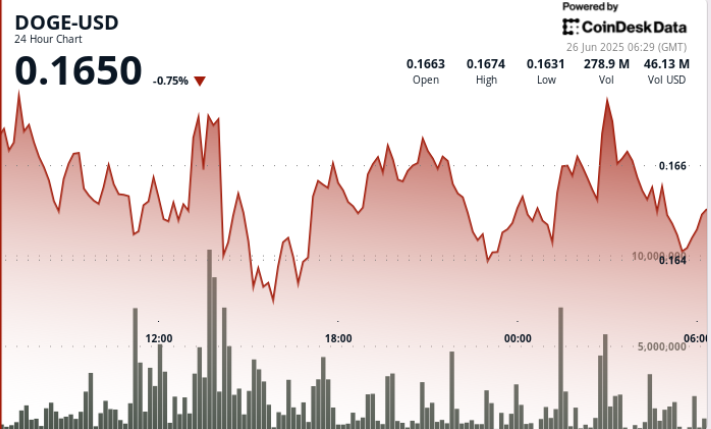 Dogecoin Bulls Defend 16 Cent Support Amid Elon Musk’s X Payments Speculation