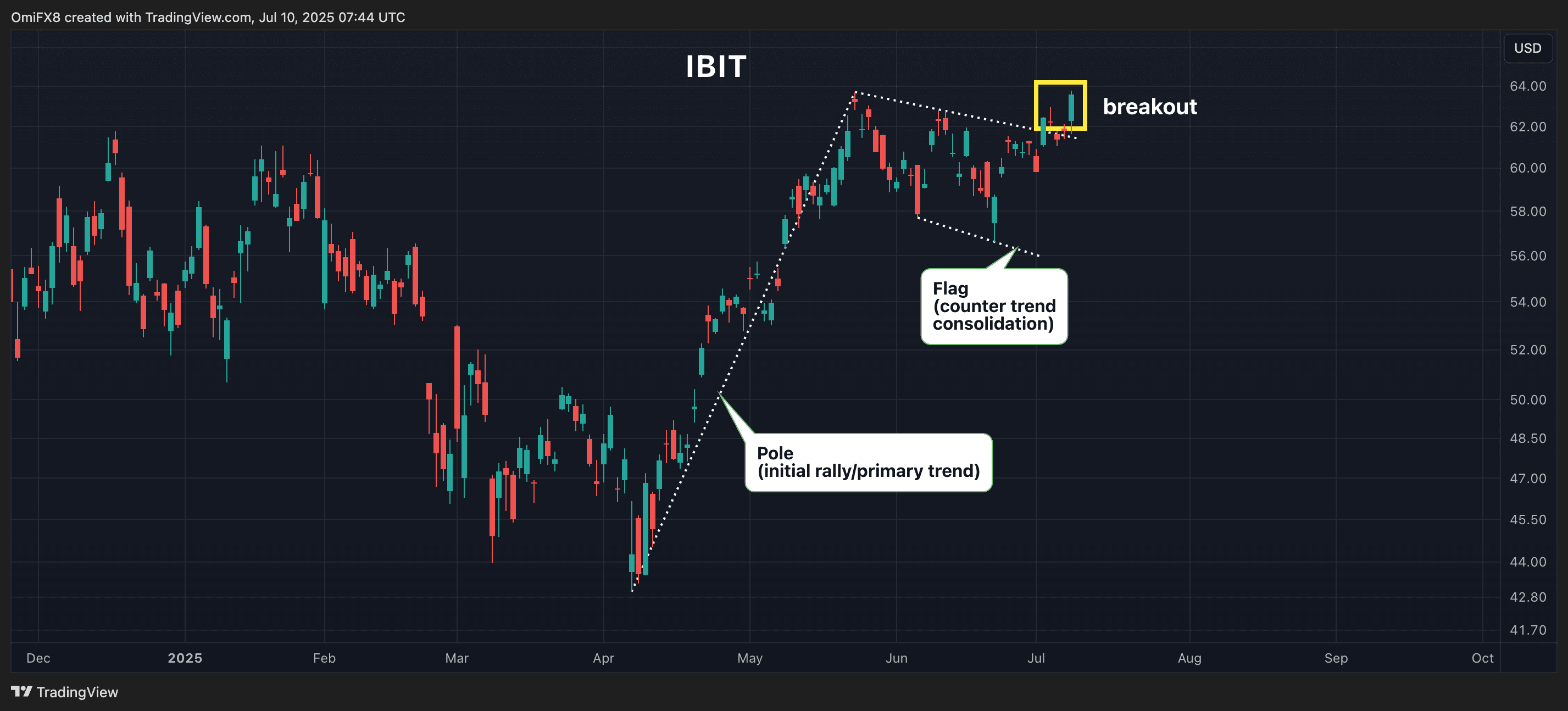 IBIT's daily chart. (TradingView/CoinDesk)