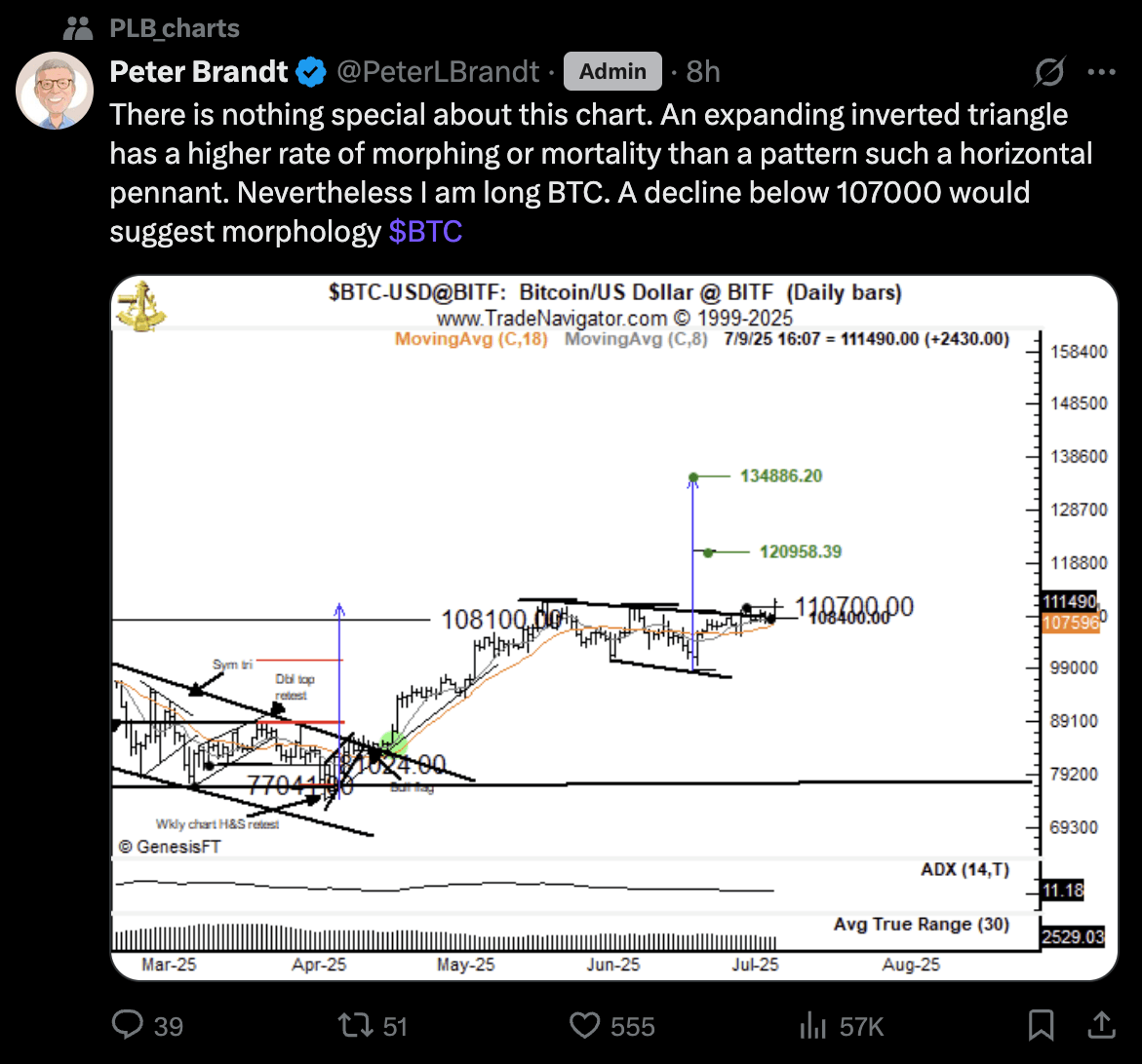 Peter Brandt's post on X. 