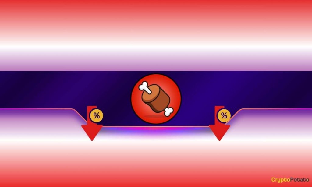 Shiba Inu-Themed Meme Coin Tanks After OKX Says Goodbye: Details