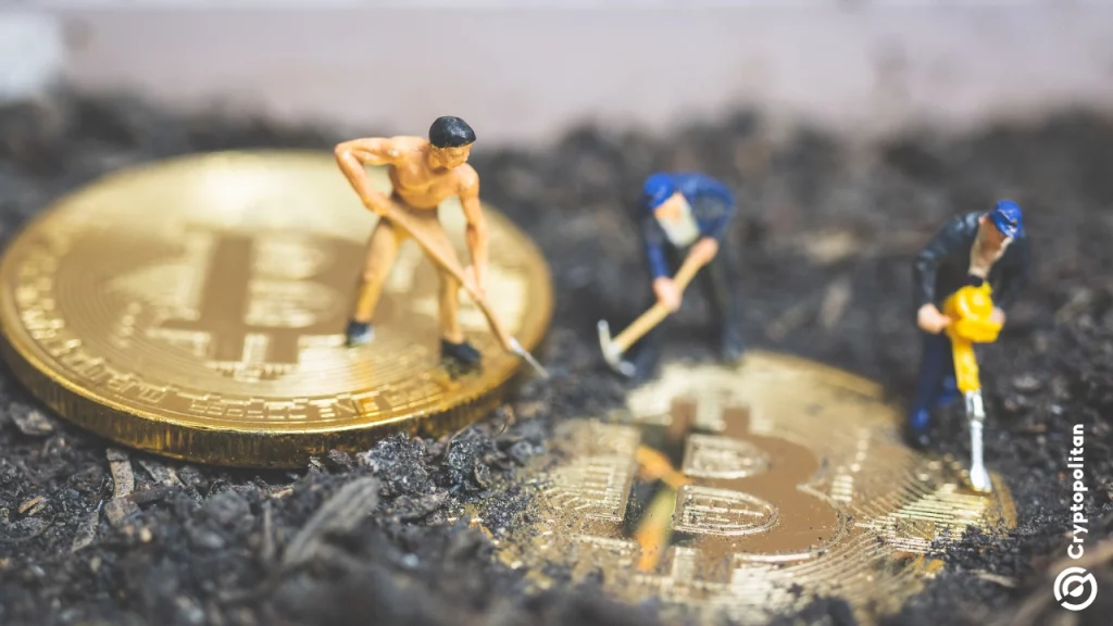 Hamak Limited transitions from gold mining business to Bitcoin corporate treasury