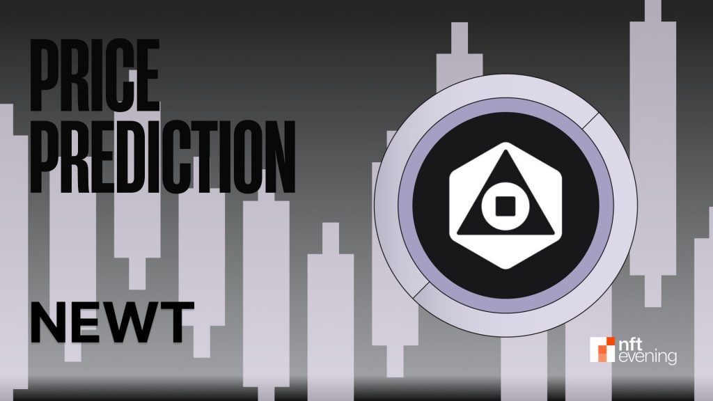 Newton Protocol (NEWT) Price Prediction in TGE