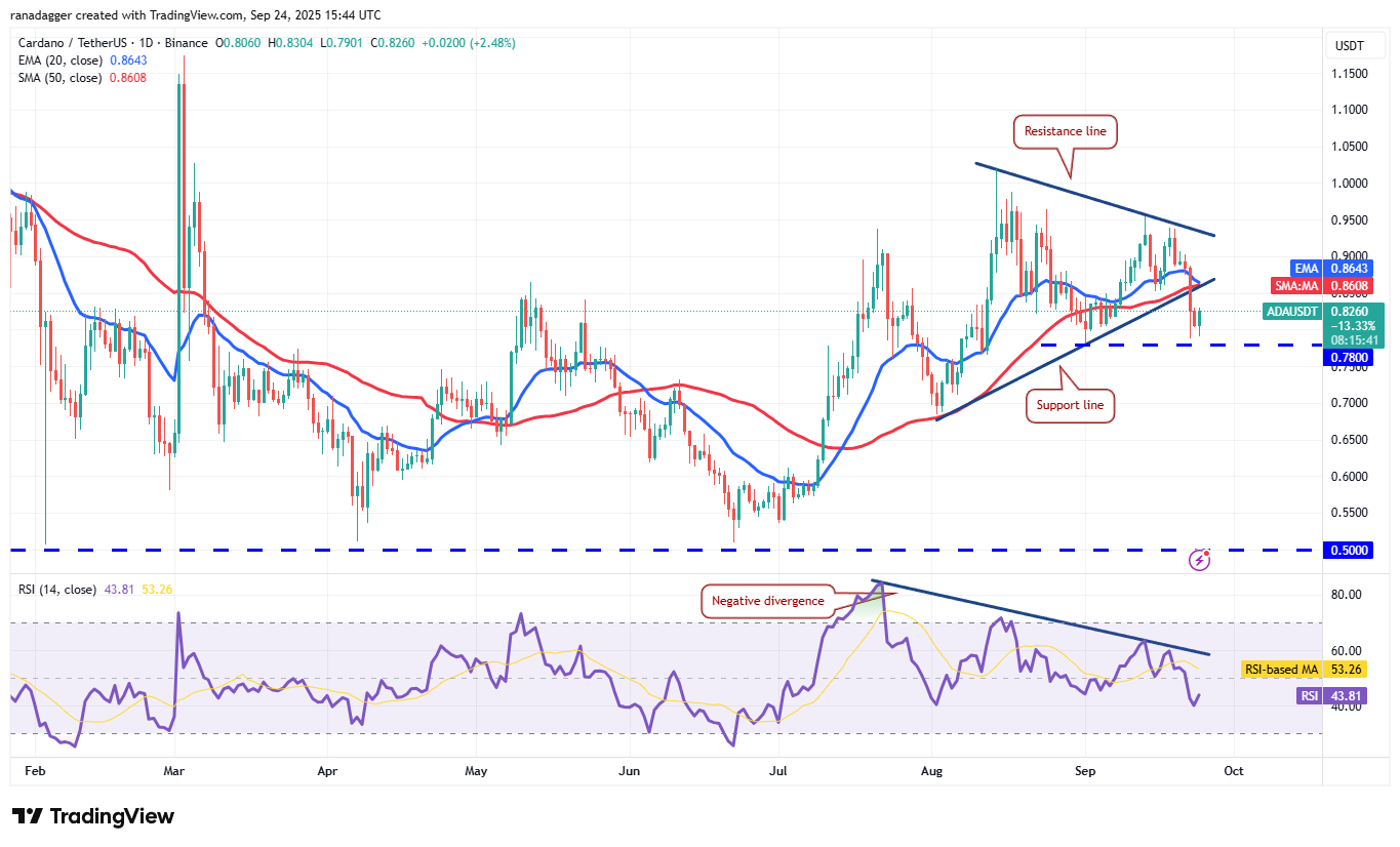 Cryptocurrencies, Bitcoin Price, Markets, United States, Cryptocurrency Exchange, CNBC, Price Analysis, Market Analysis, MicroStrategy, Whale, Bitcoin ETF, ETF, Michael Saylor