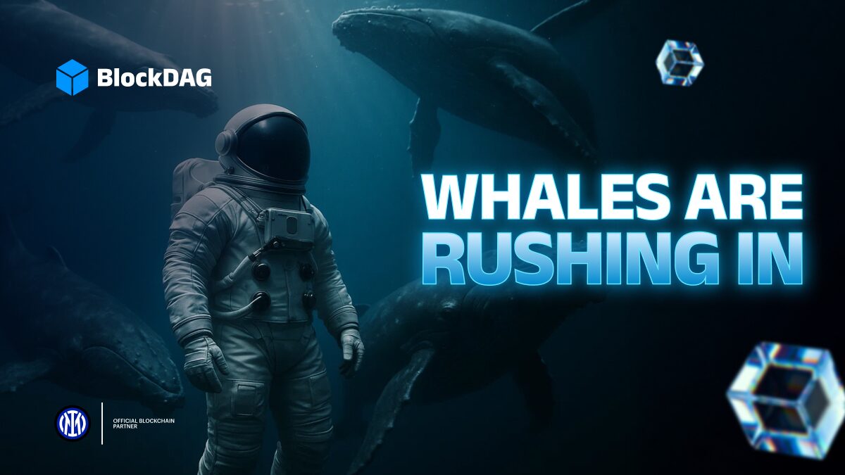 blockdag-whales-rushing