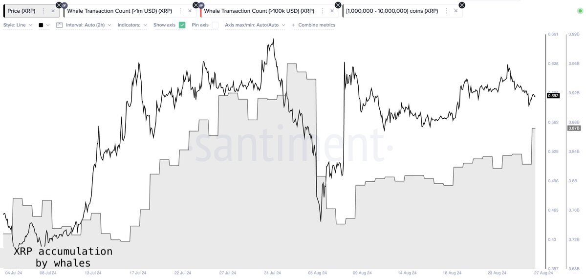 Whale Accumulation Signals Strong Conviction