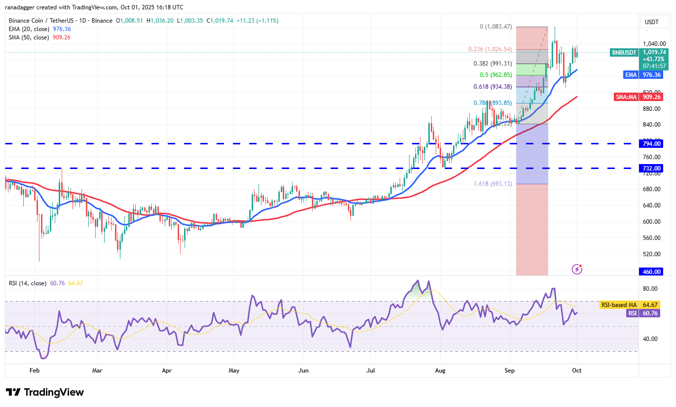 Dogecoin, Cryptocurrencies, Gold, Bitcoin Price, XRP, Cryptocurrency Exchange, Cardano, Price Analysis, Binance Coin, Chainlink, Market Analysis, Ether Price, Solana, Avalanche