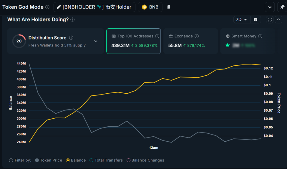 BNBHOLDER Metrics