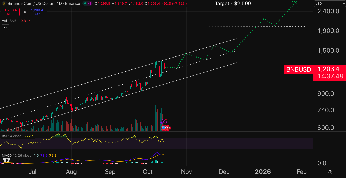 BNB price chart.