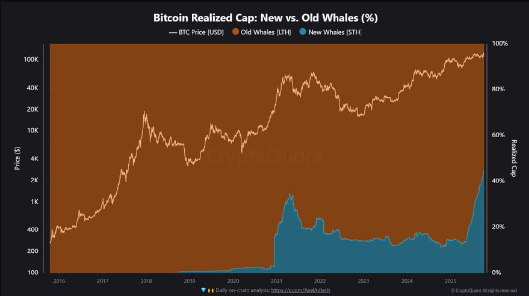 Short-Term Holder Dominance and Supply Transfer