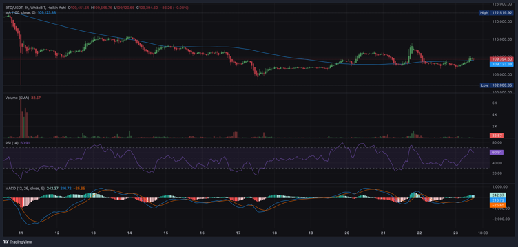 Bitcoin Price Prediction: Whale Accumulation Could Trigger Fresh Rally Past $120k as Mutuum Finance (MUTM) Eyes Life-changing Gains