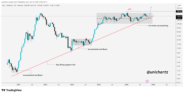Solana (SOL) and Mutuum Finance (MUTM) Take the Spotlight as Investors Hunt for Bull Run Buys