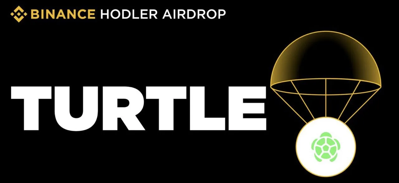 TURTLE Token Details
