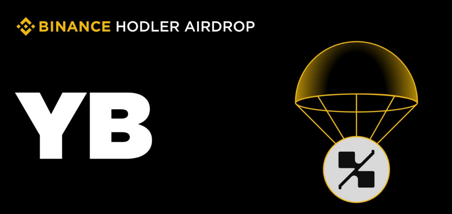 YB Token Details