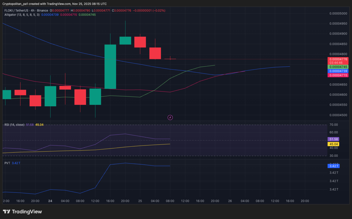 FLOKI/USD 4-hour chart