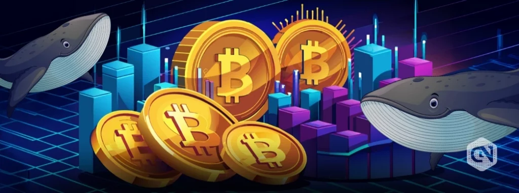 Bitcoin Price Reaches Make-or-Break Zone After October’s 3.5% Retreat