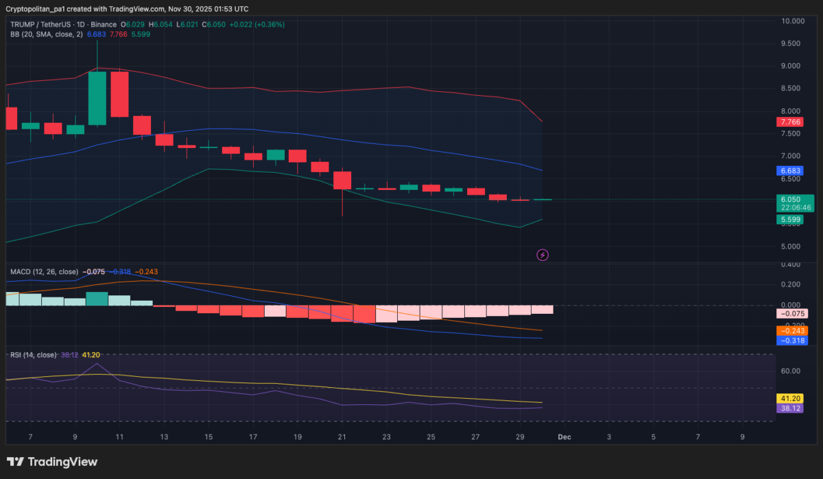 Official Trump coin 1-day price analysis
