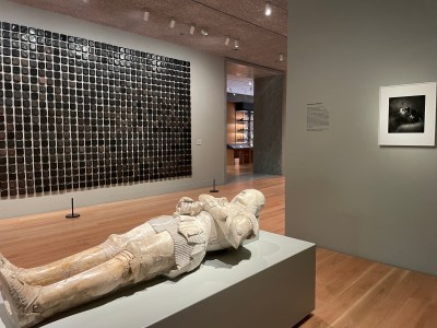 Interview view of Princeton University Art Museum , 2025.