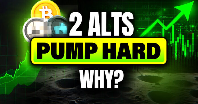Why Are These Two Altcoins Pumping Against the Crypto Dump?