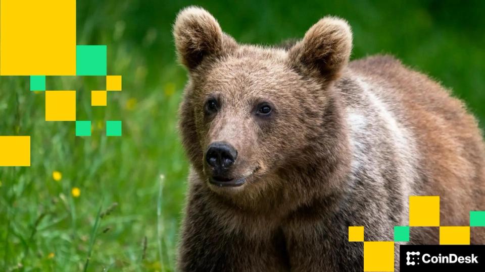 ‘Extremely Bearish:’ Is $91K New Bitcoin Price Target?