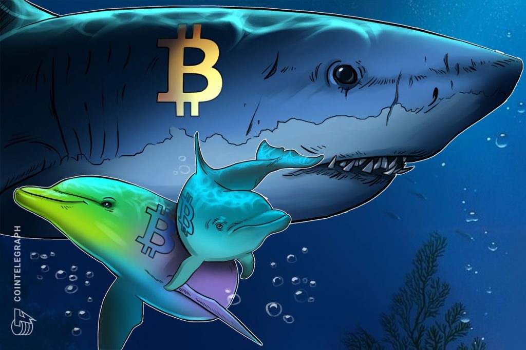 Bitcoin Sharks Accumulate at Fastest Pace Since 2012 as BTC Slides