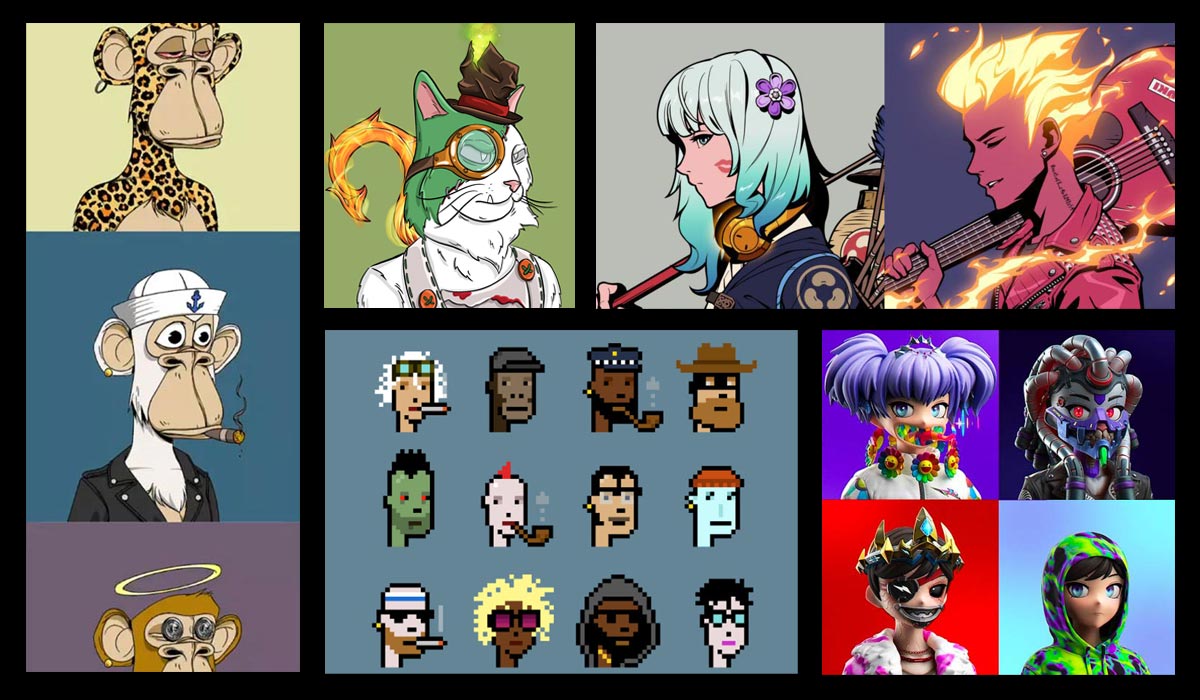 Invest in NFT Collections