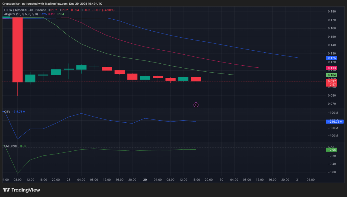 Flow coin 4-hour price analysis
