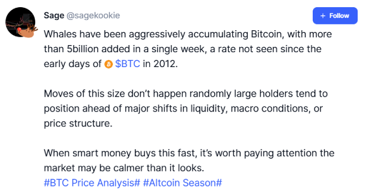 Bitcoin Whales Bitcoin Whales