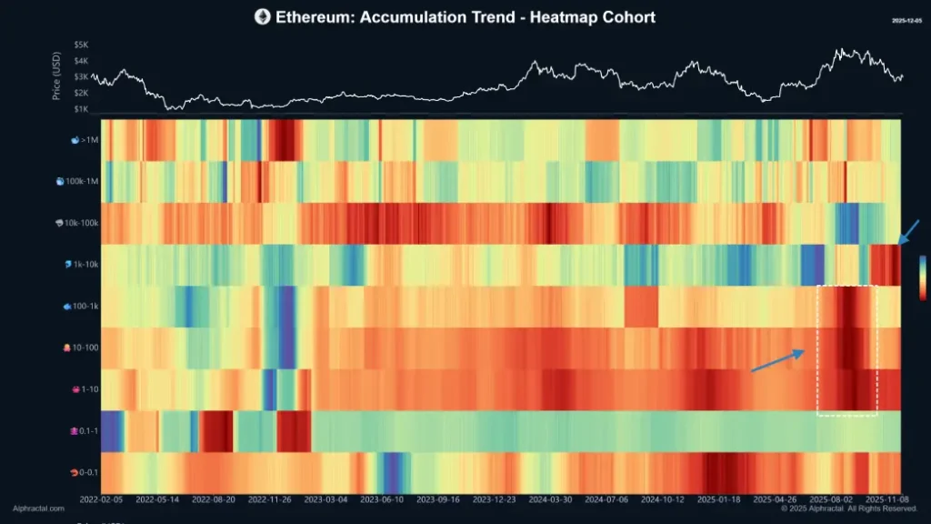 Accumulation Trend