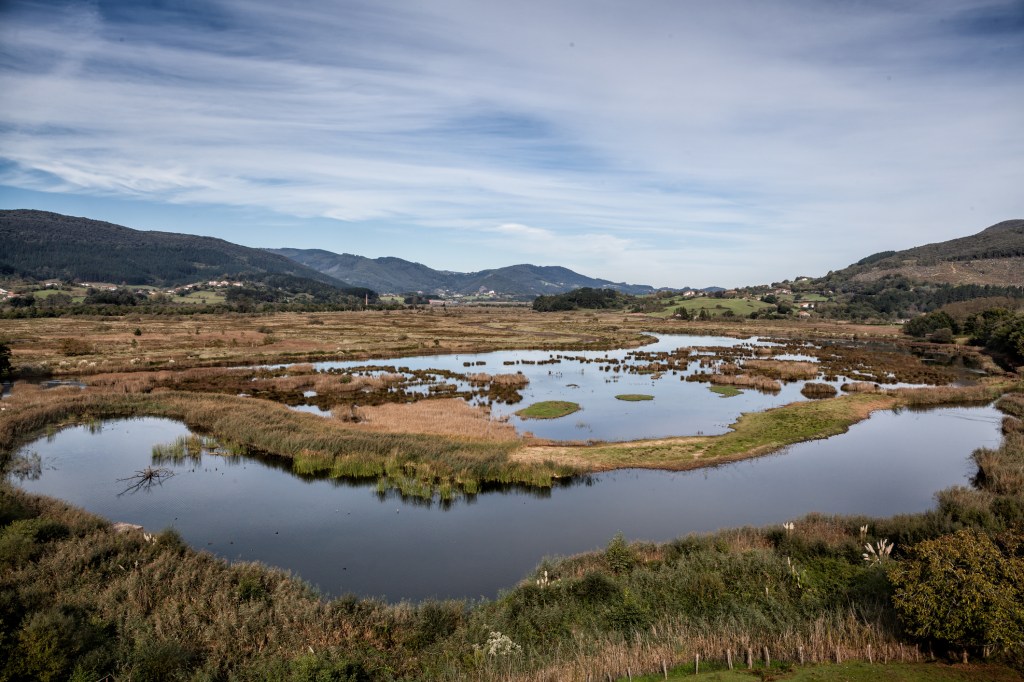 Guggenheim Bilbao Scraps Urdaibai Expansion After Environmental Backlash