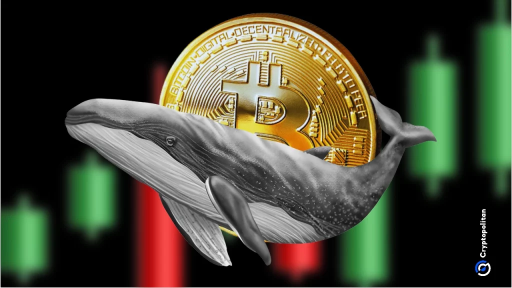 Bitcoin whale accumulation overhyped as onchain data shows continued distribution