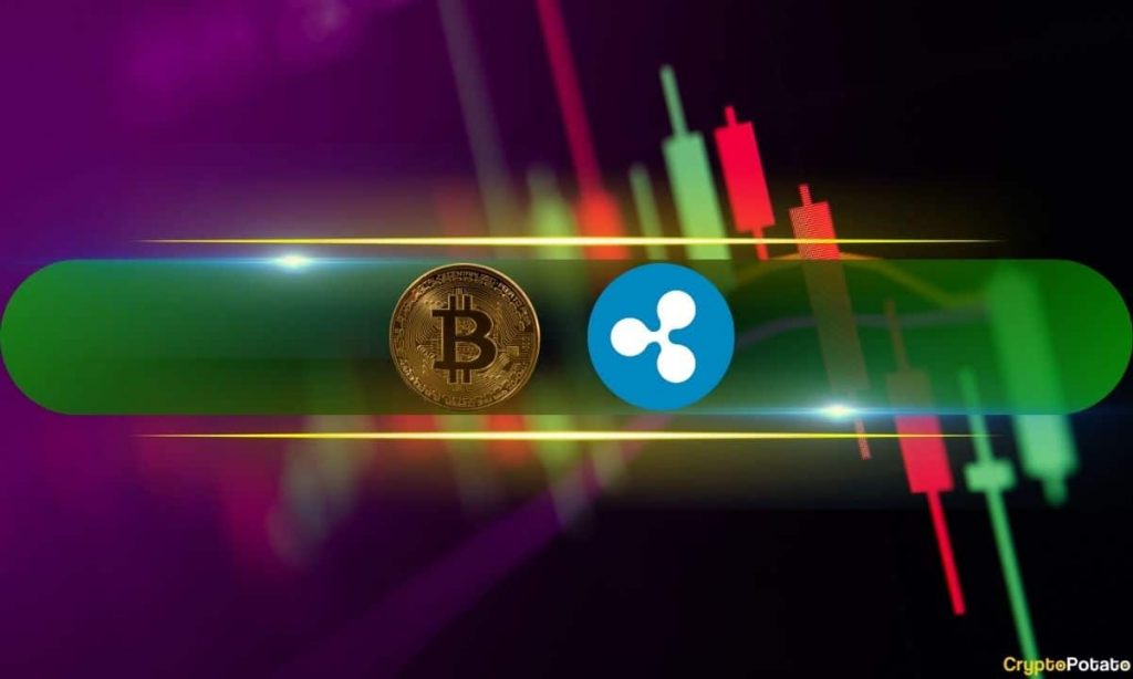 Bitcoin’s Rally Stopped at $95K, Ripple’s XRP Surges by Double Digits: Market Watch