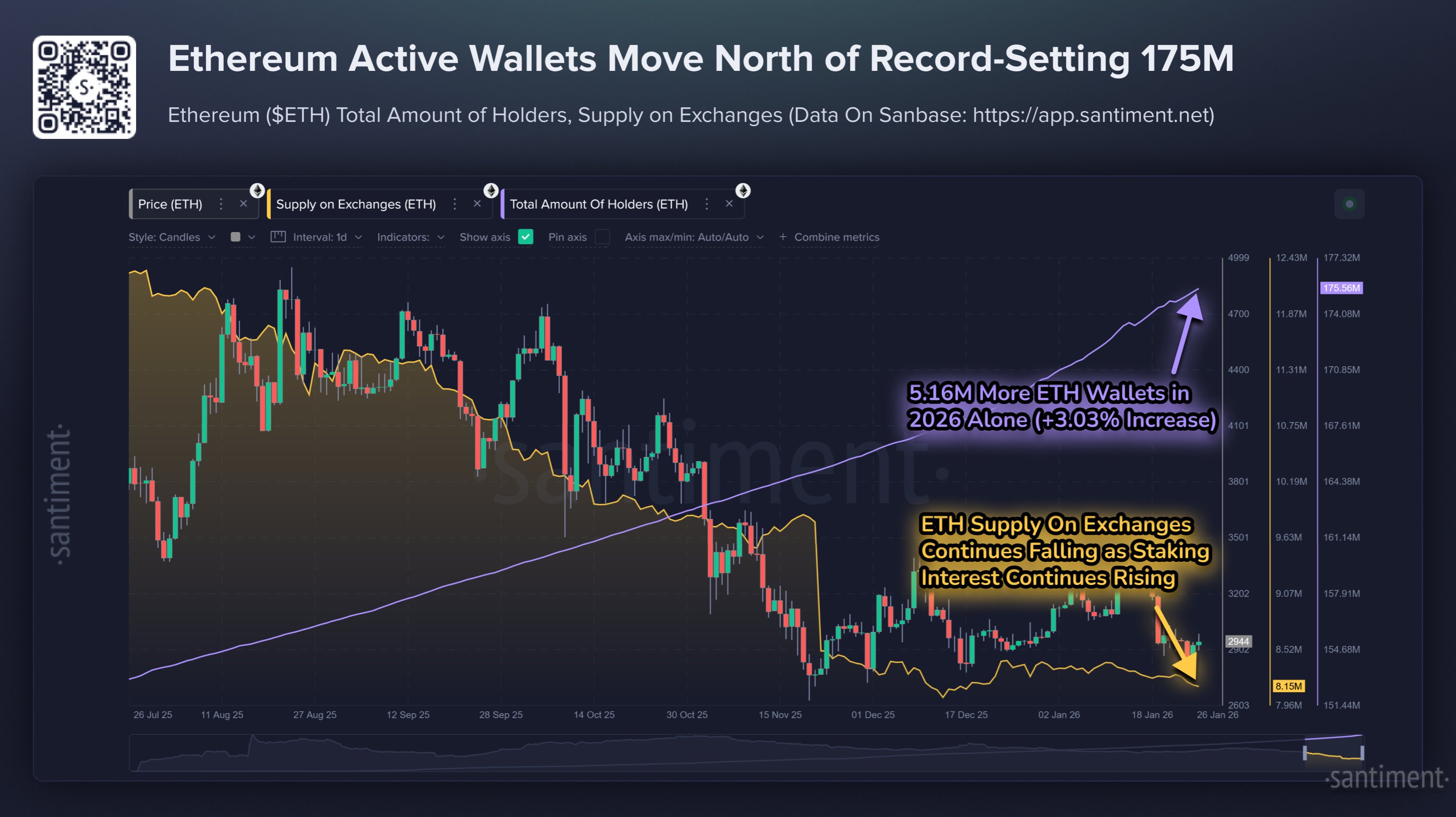 Ethereum Total Amount of Holders