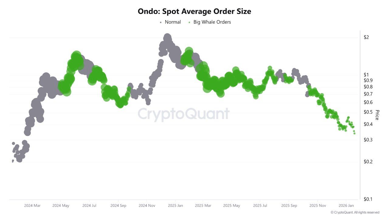 Ondo Spot Average Order Size. Source: CryptoQuant.