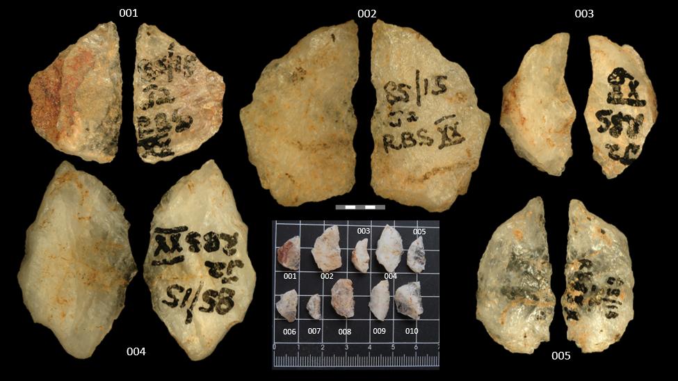 Researchers Find 60,000-Year-Old Poisoned Arrowheads in Africa