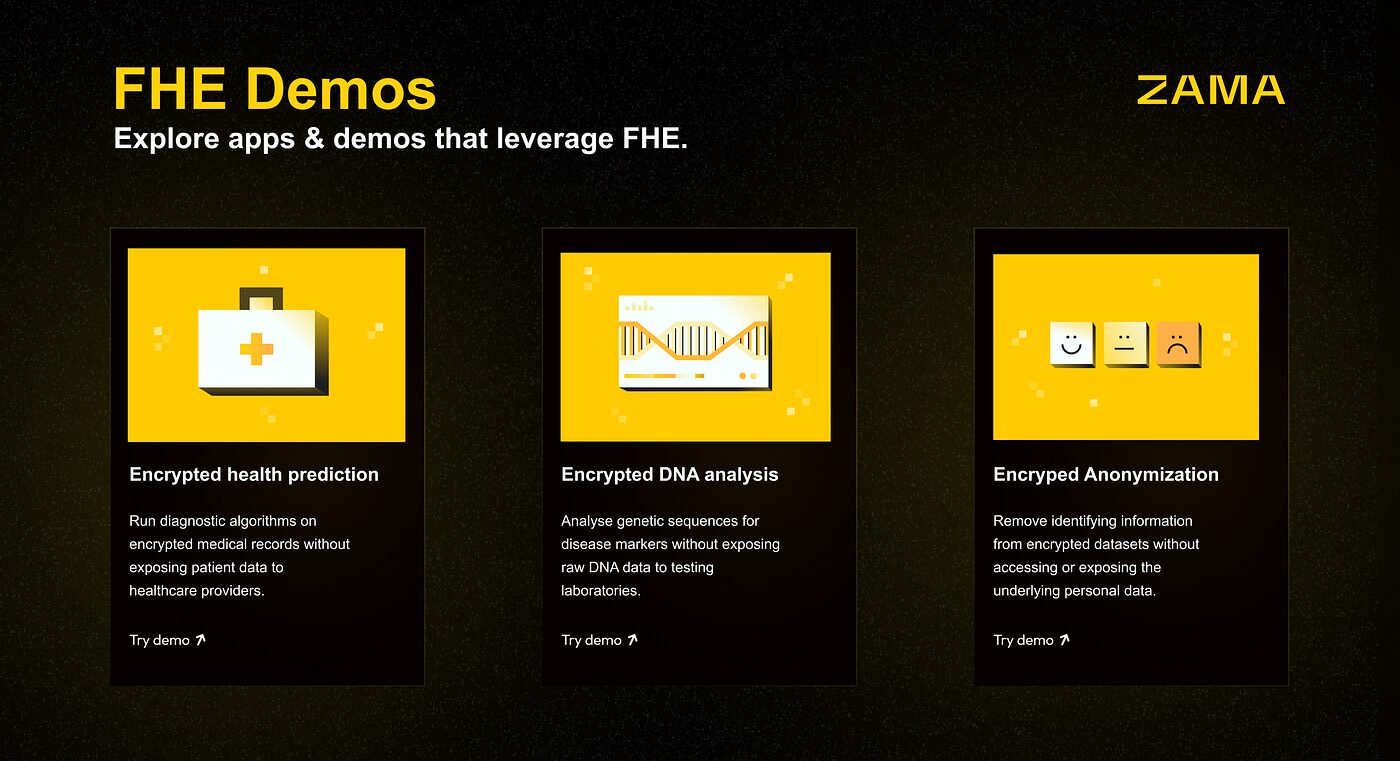 What is Zama (ZAMA)?