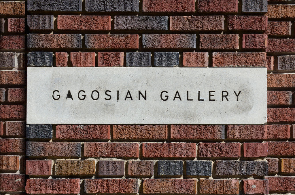Ashley Stewart Rödder, Senior Director At Gagosian, Dies